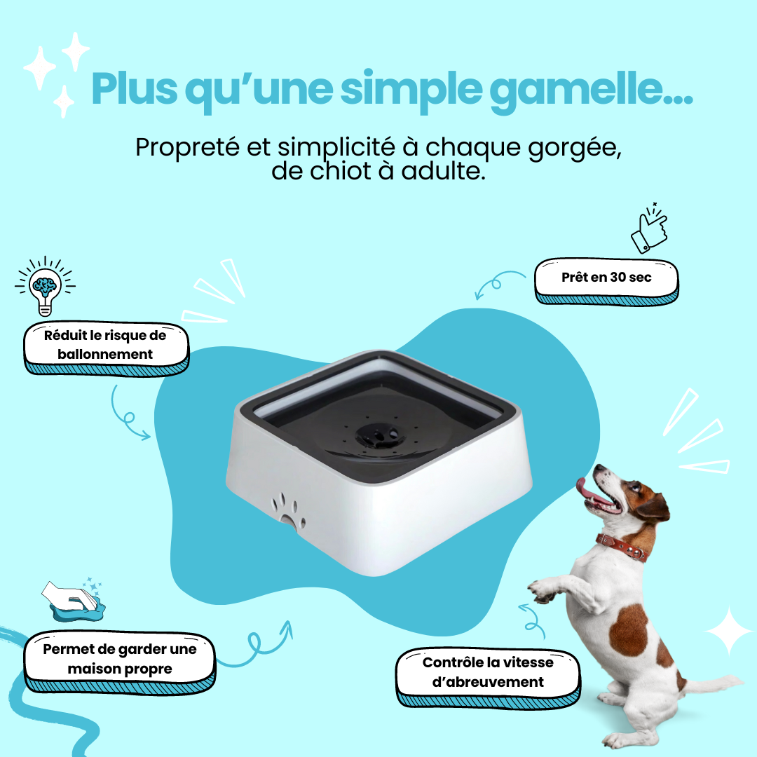 Gamelle Anti-Éclaboussures Pour Chien - Simplify