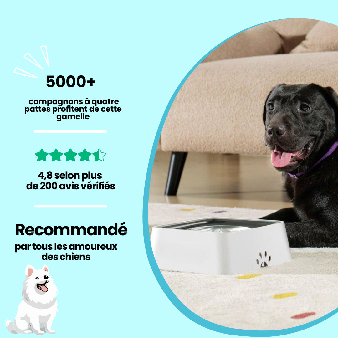 Gamelle Anti-Éclaboussures Pour Chien - Simplify